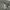 Heavy Washed Canvas Shirt Thanksinsomnia  photo 7