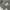 Heavy Washed Canvas Shirt Thanksinsomnia  photo 3