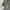 Heavy Washed Canvas Shirt Thanksinsomnia  photo 8