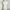 White Ribbed Knit Lace V Neck Cami Tanktop Bra Tengtop photo 5