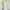 White Ribbed Knit Lace V Neck Cami Tanktop Bra Tengtop photo 2