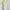 Soft Pastel Lavender Babydoll Lace Cami Tanktop Bra Tengtop photo 2