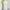 Soft Pastel Lavender Babydoll Lace Cami Tanktop Bra Tengtop photo 4