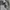 HOODIE THE FOCUS  photo 5
