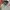 HOODIE THE FOCUS  photo 3