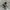HOODIE THE FOCUS  photo 6