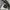 HOODIE THE FOCUS  photo 4