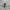 HOODIE BESIC GREY photo 4