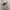 Nike Vintage Y2K Track jacket Pria white photo 2