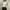 UNIQLO BROKEN WHITE HALF ZIP photo 2