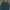 Gold Gentleman Longpants Dark Green photo 5