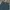 Gold Gentleman Longpants Dark Green photo 2