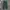 Gold Gentleman Longpants Dark Green photo 1