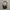 MLB Sportswear Casual Bag Pria Black