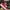 Vans Authentic Red photo 1