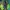 ADIDAS DROP STEP BLACK GREEN ORIGINAL photo 3