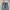 Bruno Reguler Fadding Jeans photo 5