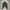 ZARA|Women's Souffle Cardigan Green With Double Pocket photo 1