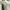 Babydoll milkmaid top photo 5