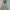 Zee Ruci Reguler Fadding Jeans