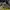 MLB Casual Sportswear Sneakers Wanita white gray photo 2