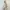 UNIQLO|Sweater Souffle Yarn Ivory Size M photo 8