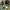 CALLAWAY GOLF SET - GOLF JUNIOR photo 2