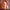 JAKER DOGCIGAR TRACK JACKET SPORTWEAR DALEMAN INER LEMBUT photo 4