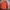 JAKER DOGCIGAR TRACK JACKET SPORTWEAR DALEMAN INER LEMBUT photo 2