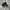 Sepatu Adidas Triple Black I-5923 photo 1