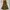 Vintage Fairy Maxi dress Wanita green photo 8