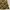 Vintage Fairy Maxi dress Wanita green photo 6