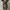 BCBG Maxazria dress size M photo 6