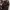 Grunge Fairy Skirt Wanita brown photo 6