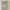 Vintage Y2K Evening dress Wanita tan photo 6