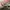 Longchamp Medium Long Handle in Terra / Clay photo 6
