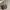 Longchamp Medium Long Handle in Terra / Clay photo 2