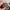 Longchamp Medium Long Handle in Terra / Clay photo 3
