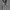 ZARA Men's Winter Coat