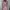 condition as shown in pictures, no photo 2