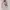 Fairy Coquette Babydoll dress Wanita pink photo 2