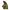 Polo Sport Military Jacket