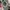 Vintage 1980's Ben Sheran Men Baret Hats photo 5