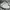 Floral pattern pants photo 5