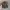 Find Sleep Realtree hat by Signatures photo 1