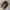 Nikulski Realtree hat by Richardson photo 7