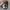 Nikulski Realtree hat by Richardson photo 4