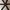 Nikulski Realtree hat by Richardson photo 6