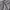 Unbranded 2000s Y2K Gray Baggy Sweatpants photo 3