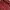 Off shoulder maroon photo 3